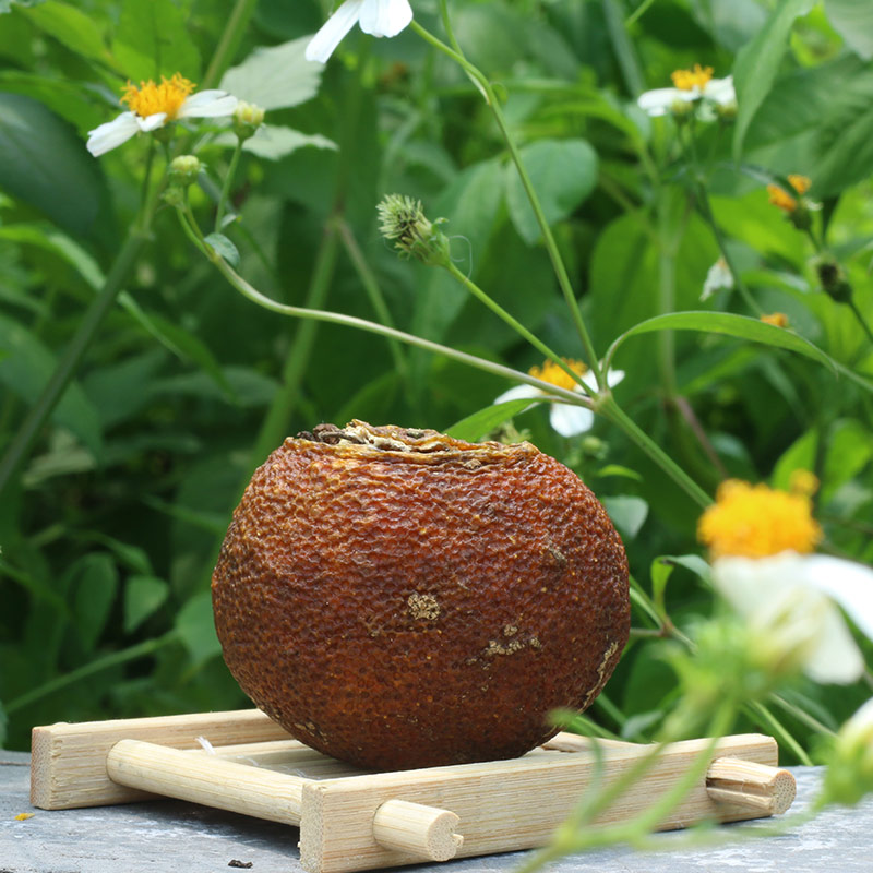 2016高山柑普生茶100克铁罐装