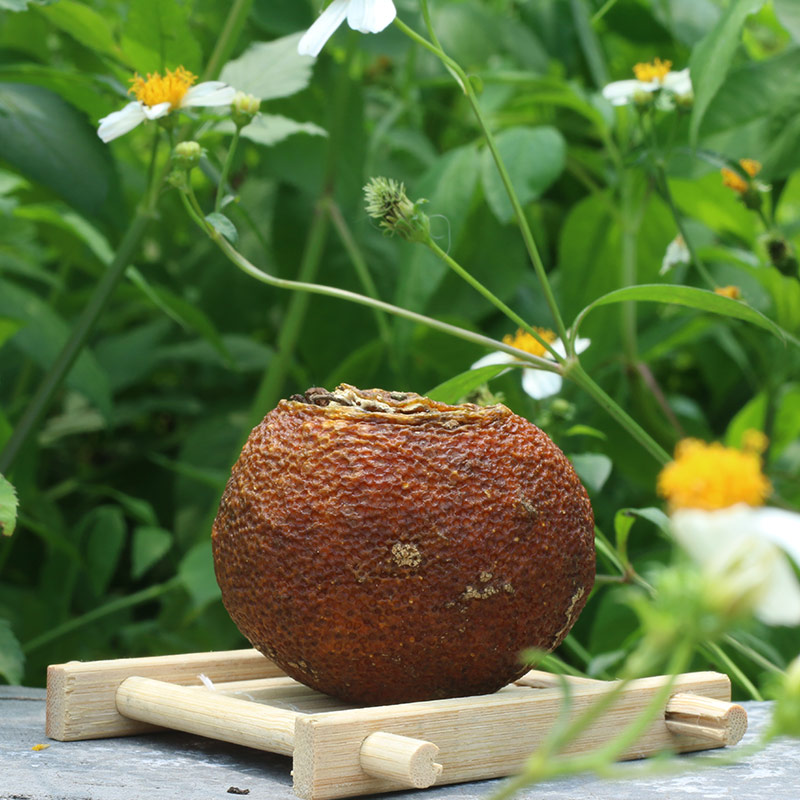 2016高山柑普生茶350克铁罐装